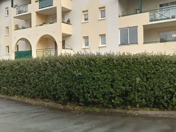 Appartement 2 pièces 63 m² 