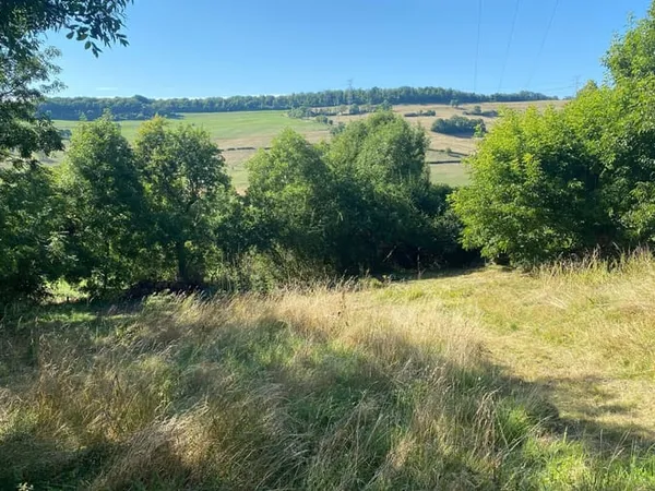 Terrain 1294 m² 
