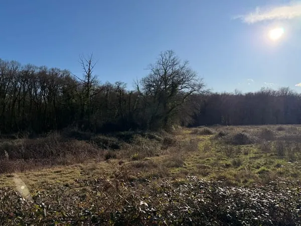 Terrain 12245 m² 