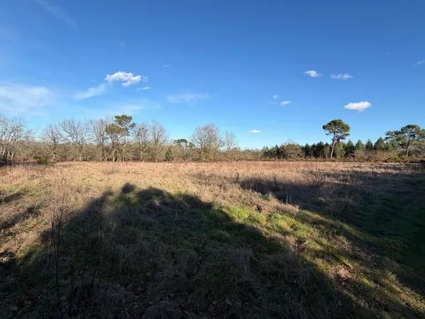 Terrain 8176 m² 