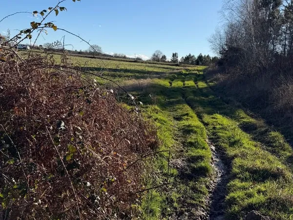 Terrain 12465 m² 
