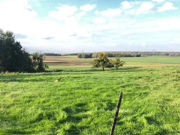 Terrain 605 m² 