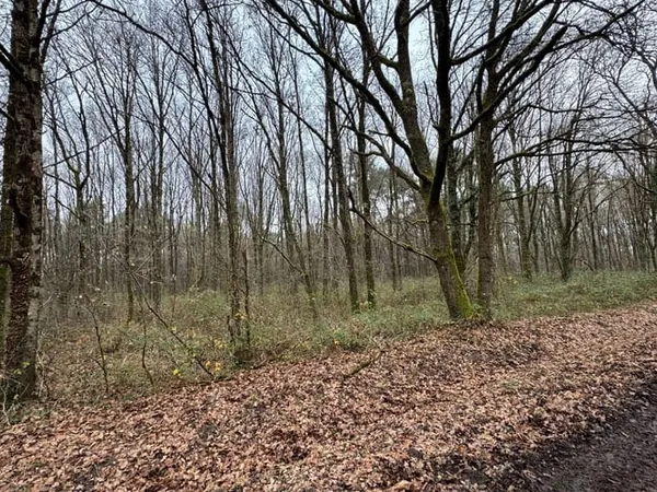 Terrain 31496 m²