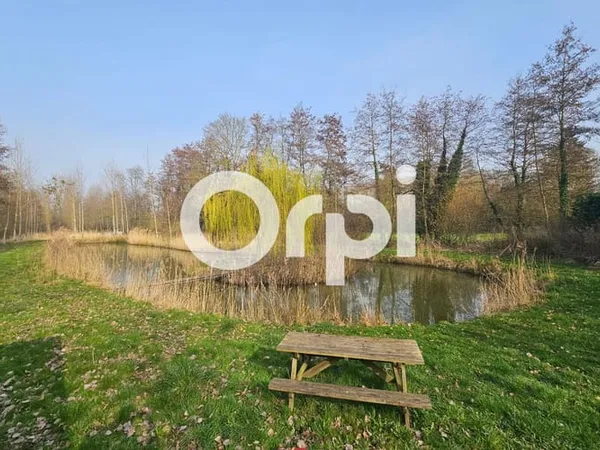 Terrain 6454 m²
