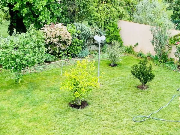 Terrain 1242 m²