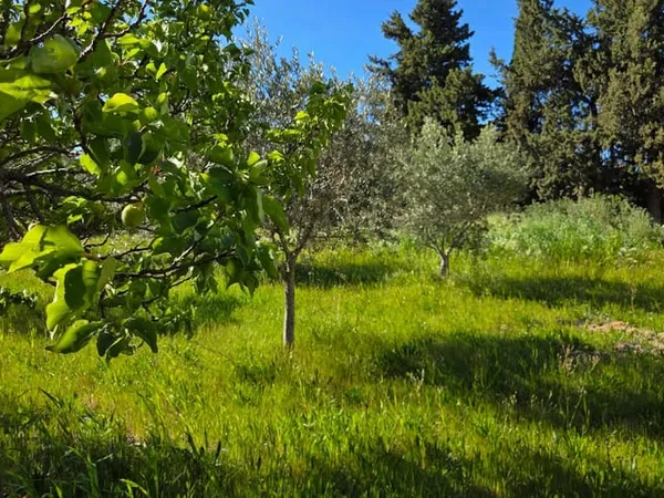 Terrain 900 m²