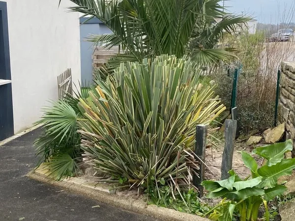 Maison 4 pièces 87 m²
