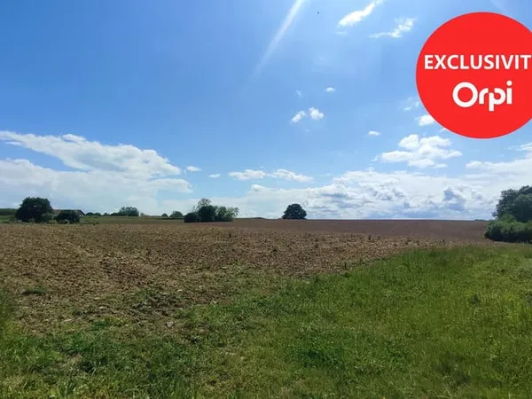 Terrain 6338 m²