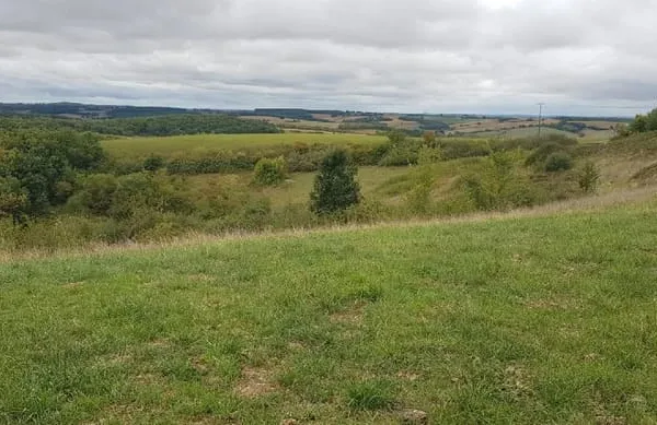 Terrain Vente Ordan-Larroque  2000m² 45000€
