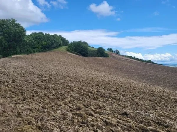 Terrain Vente Beaumont-de-Lomagne  200000m² 176000€