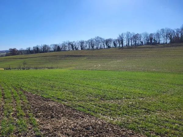 Terrain à bâtir Vente Saint-Sauvy  1000m² 33000€