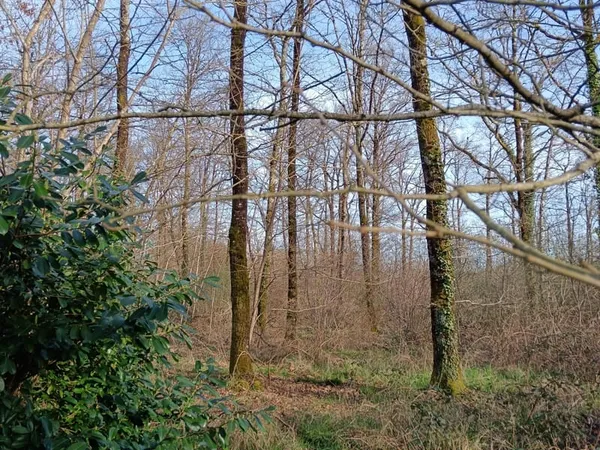 Terrain 24045 m²