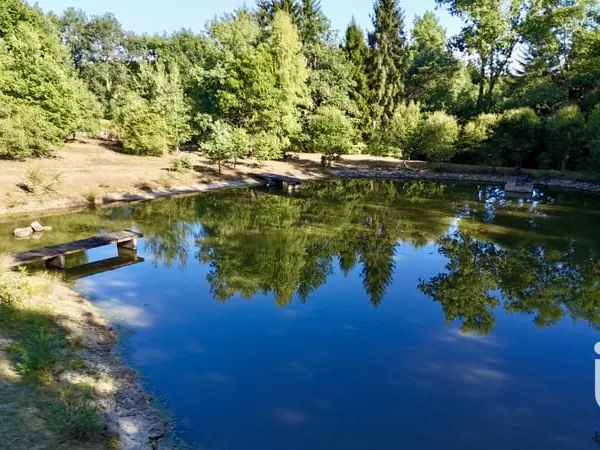 Terrain 11902 m²