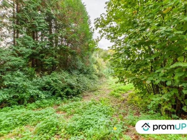 Terrain Vente Drubec   78000€