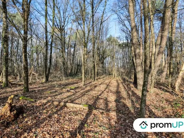 Terrain Vente Châtillon-sur-Cher   6300€