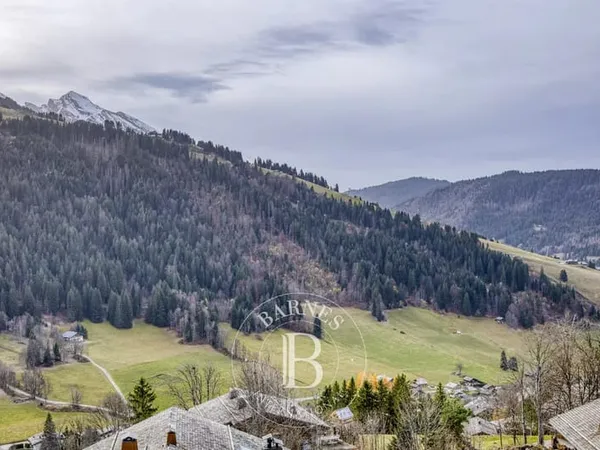 BARNES ARAVIS - LA CLUSAZ - APPARTEMENT T2+ AVEC VUE PANORAMIQUE 