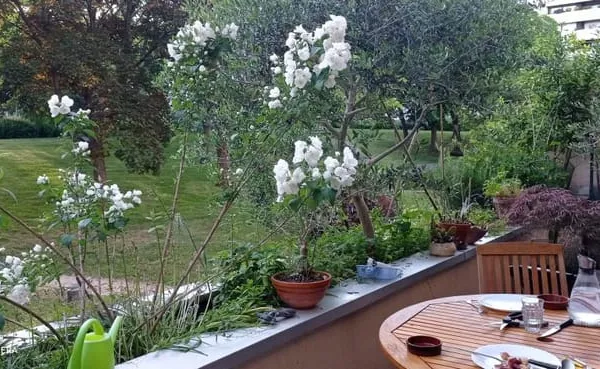 Chambre de 19m2 à louer sur Verrieres le Buisson