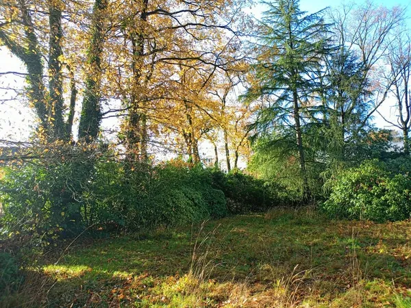 TERRAIN AVEC BATIMENT LA CHAPELLE SUR ERDRE - 368 000 € 