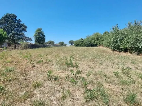Terrain Vente Cintegabelle  1000m² 81600€
