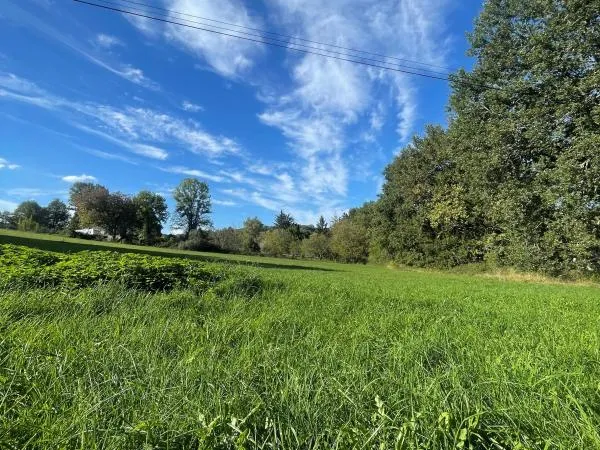 TERRAIN A BATIR - TRELISSAC 