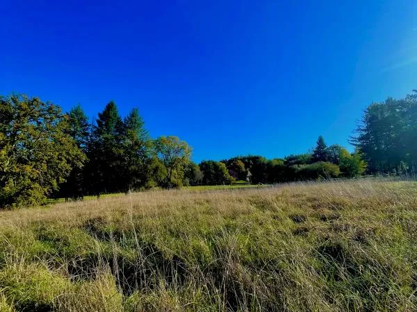 TERRAIN A BATIR - SAINT JEAN DE COLE 