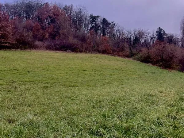 TERRAIN A BATIR - BOULAZAC 