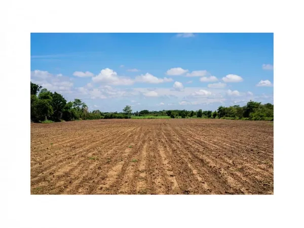 TERRESS AGRICOLES CULTIVABLES 