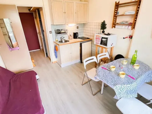Appartement 1 pièce 17 m² 