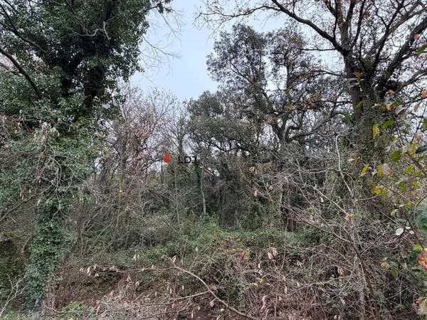 Terrain Vente Laroque-des-Albères   38000€