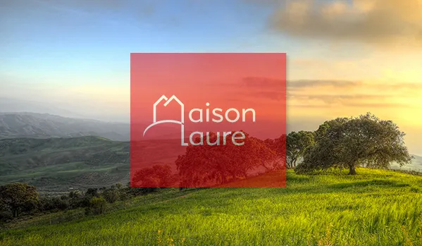 Terrain constructible Neuvy-Le-Roi 