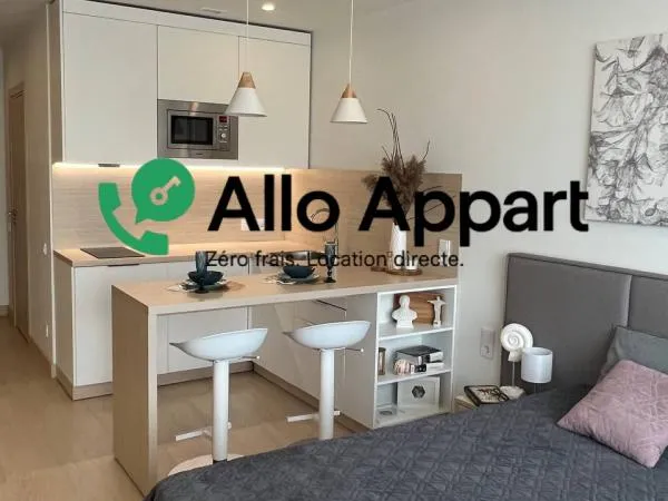 Studio meublé - 26 m² - Lyon 1er 