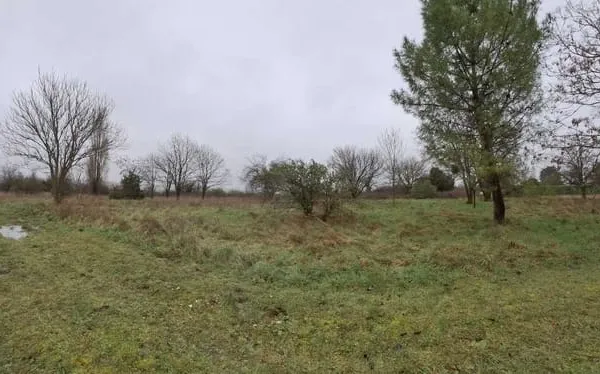 Terrain Vente Angoulême   35000€