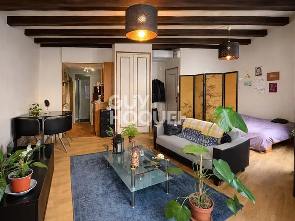 Appartement 1 pièce 29 m²