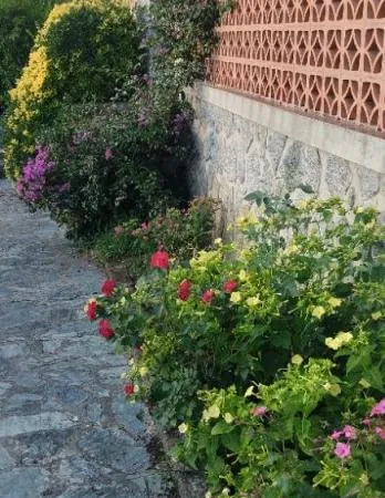Maison avec jardin, balcon et terrasse à Petreto-Bicchisano