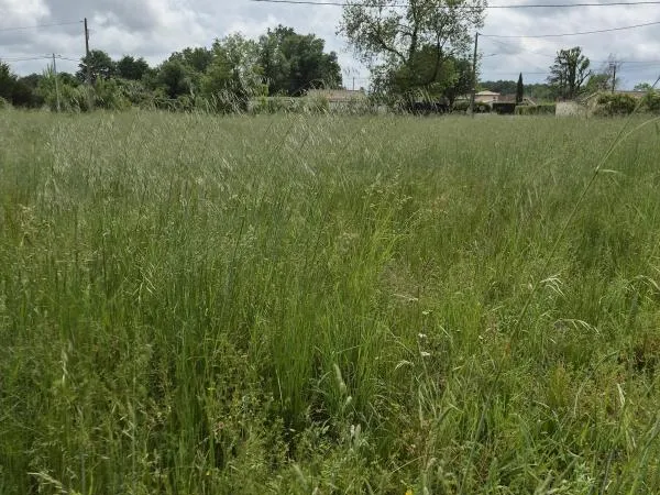 BELLE PARCELLE DE 1000m² A COUTRAS