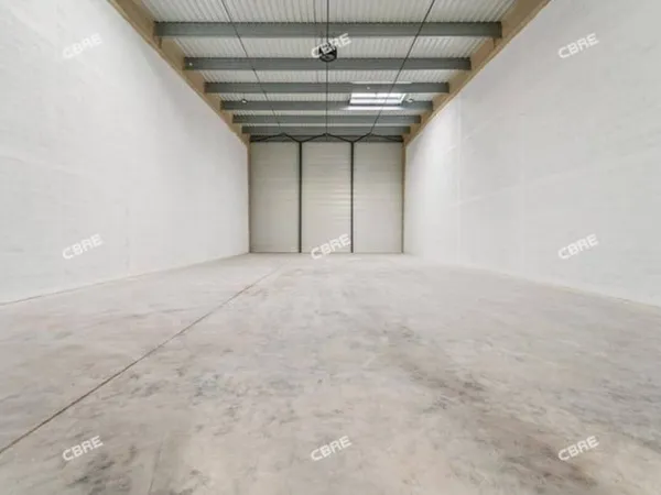 Local d'activité 1008 m²