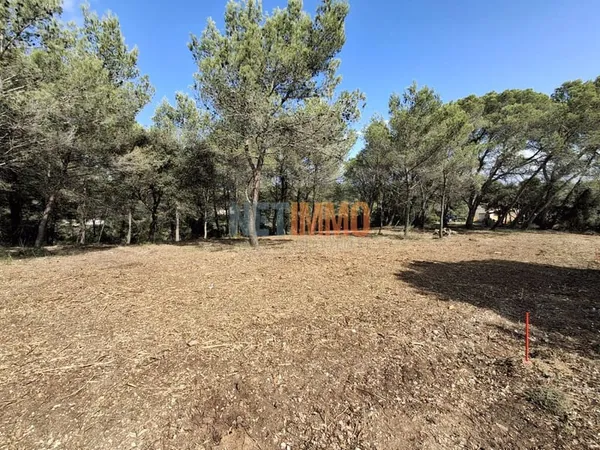 Terrain 300 m²