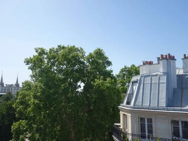 Studette 1 pièce 13 m²