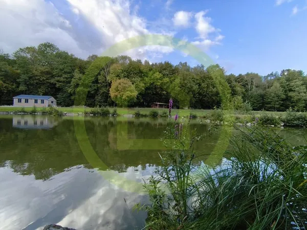 Terrain 20000 m²