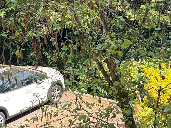 Parking 11 m²