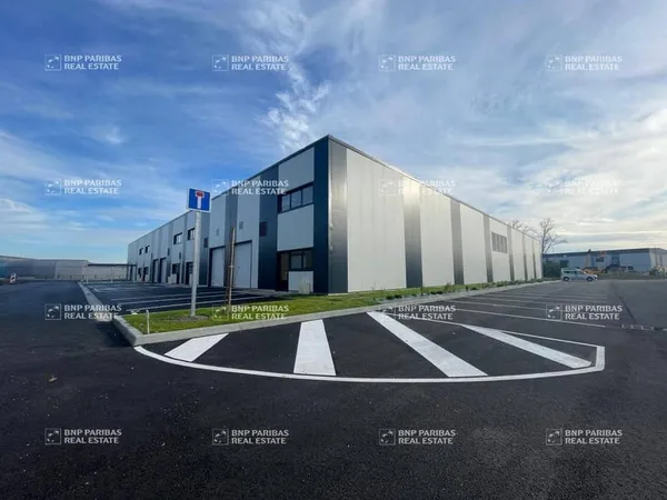 Local d'activité 991 m²