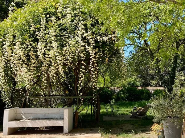 Maison 7 pièces 250 m²
