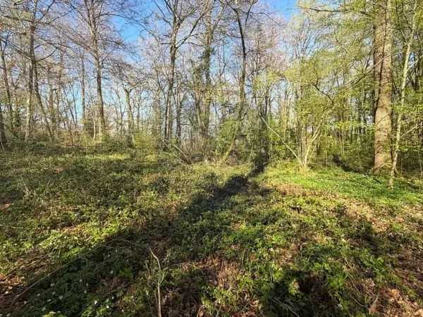 Terrain 1710 m²