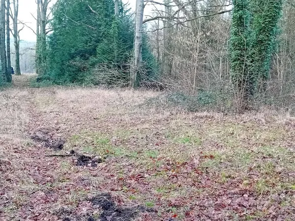 Terrain 1000 m² 