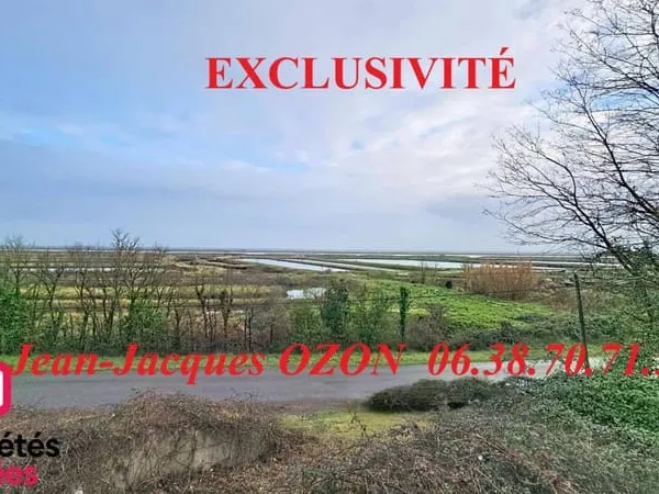Terrain 1186 m² 