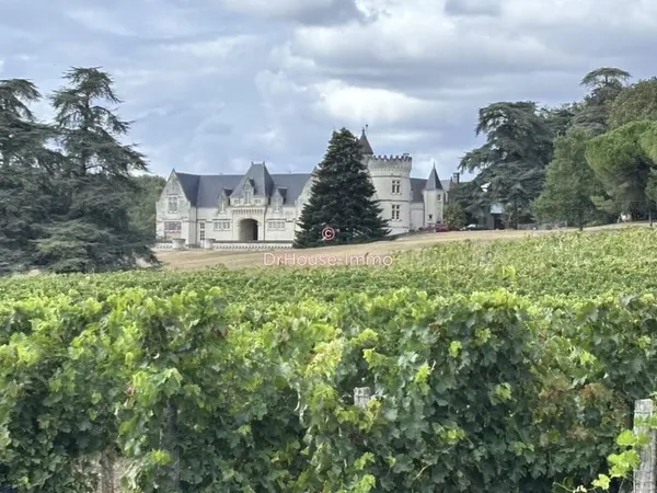 Château 19 pièces 447 m² 