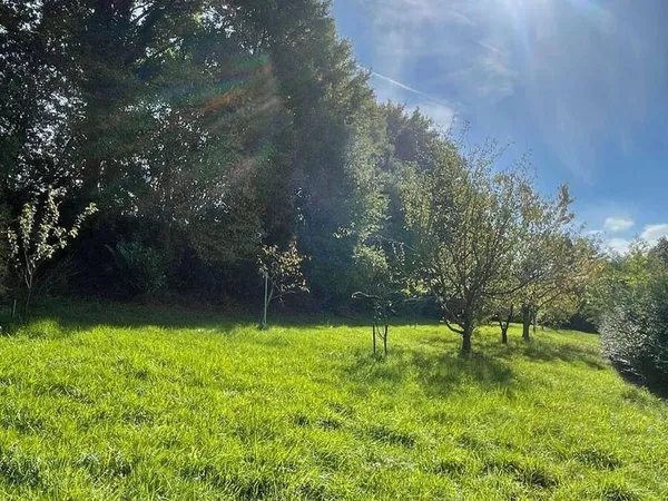 Terrain 1460 m² 