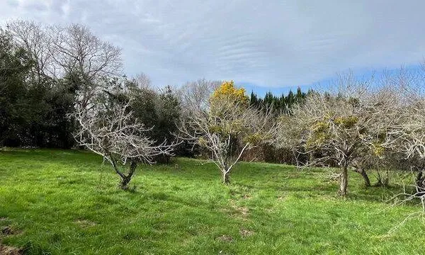 Terrain 1400 m² 