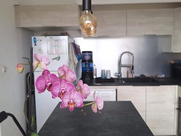 Appartement 2 pièces 62 m²