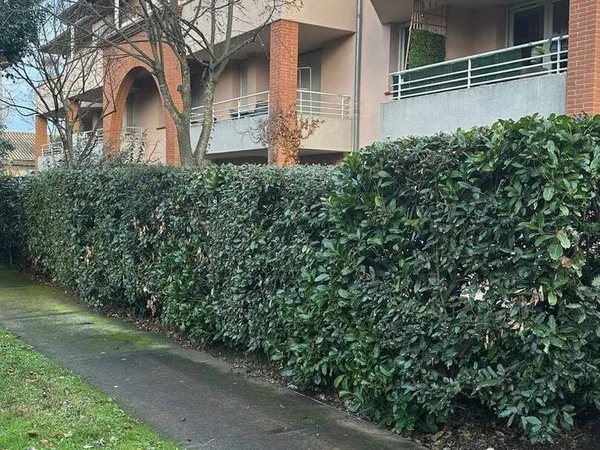 Appartement 2 pièces 37 m²